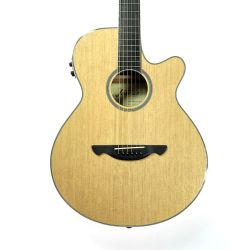 ☆☆ James エレアコギター JE450 ソフトケース付き Bランク