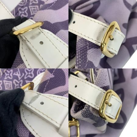  LOUIS VUITTON ルイヴィトン クルーズライン タイシエンヌPM トートバッグ  キャンバス リラ M95680 ショルダーバッグ