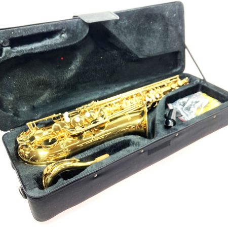  PLAYTECH テナーサックス PTTS-200 ハードケース付き