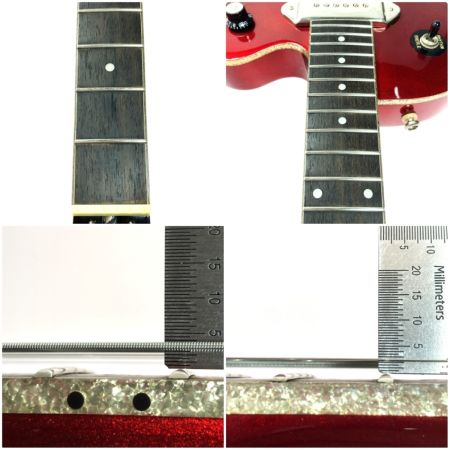 EPIPHONE エピフォン セミアコ WILDKAT ソフトケース付