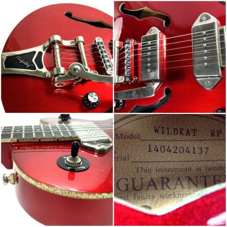 EPIPHONE エピフォン セミアコ WILDKAT ソフトケース付