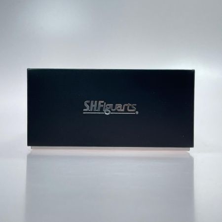 BANDAI バンダイ S.H.Figuarts（真骨彫製法） 仮面ライダー龍騎