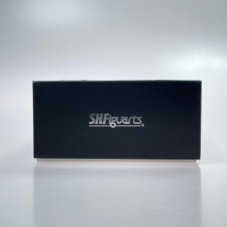 BANDAI バンダイ S.H.Figuarts（真骨彫製法） 仮面ライダー龍騎
