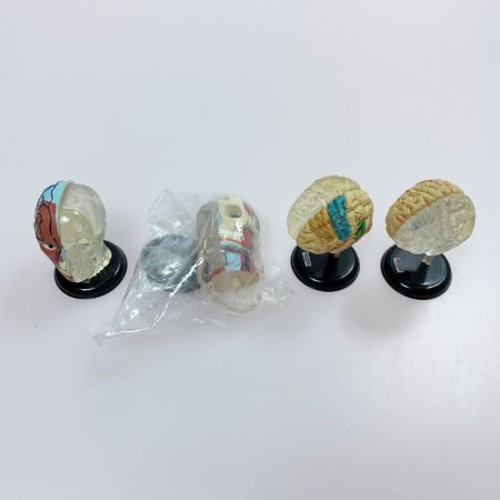 こどもの事典大百科 人体解剖図鑑 yujin 14種コンプ＋シークレット