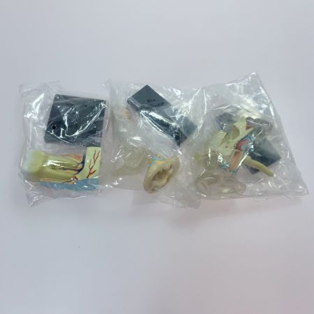 こどもの事典大百科 人体解剖図鑑 yujin 14種コンプ＋シークレット