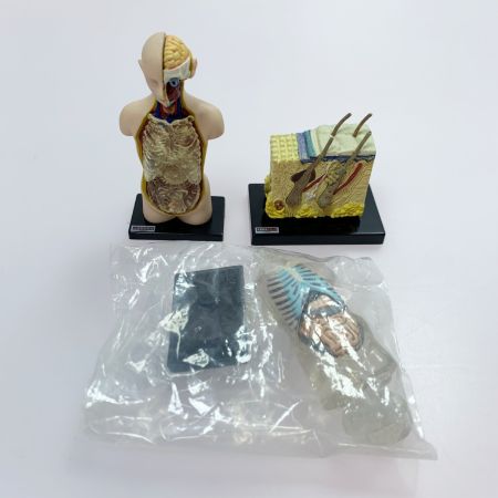 こどもの事典大百科 人体解剖図鑑 yujin 14種コンプ＋シークレット