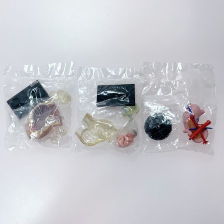 こどもの事典大百科 人体解剖図鑑Ⅱ yujin 12種コンプ＋シークレット