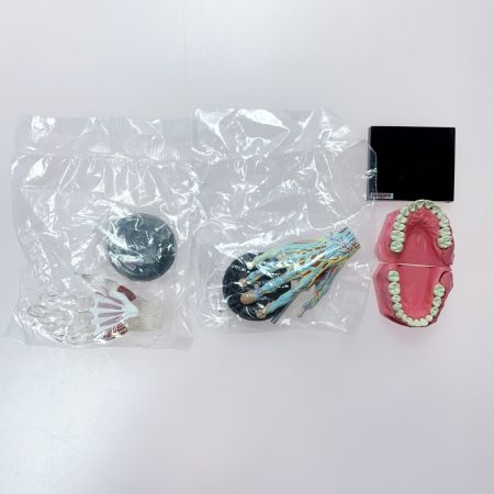 こどもの事典大百科 人体解剖図鑑Ⅱ yujin 12種コンプ＋シークレット