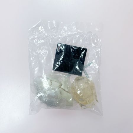 こどもの事典大百科 人体解剖図鑑Ⅱ yujin 12種コンプ＋シークレット