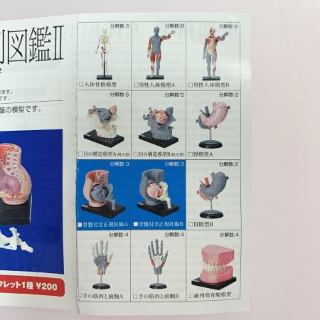 こどもの事典大百科 人体解剖図鑑Ⅱ yujin 12種コンプ＋シークレット