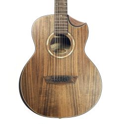Washburn ワッシュバーン アコースティックギター WCGM55K-D ソフトケース付 ジャンク品 Dランク