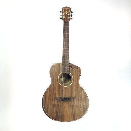 Washburn ワッシュバーン アコースティックギター WCGM55K-D ソフトケース付 ジャンク品