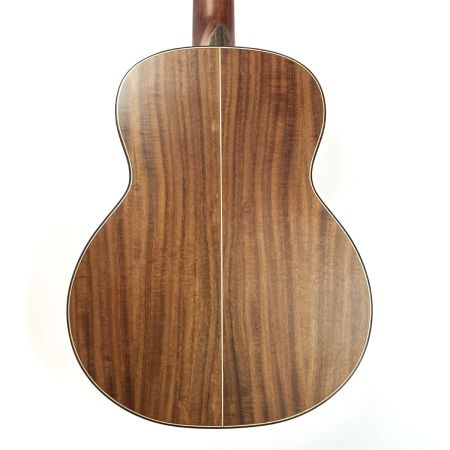 Washburn ワッシュバーン アコースティックギター WCGM55K-D ソフトケース付 ジャンク品