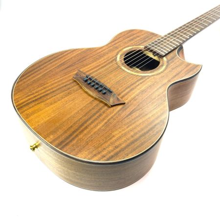 Washburn ワッシュバーン アコースティックギター WCGM55K-D ソフトケース付 ジャンク品