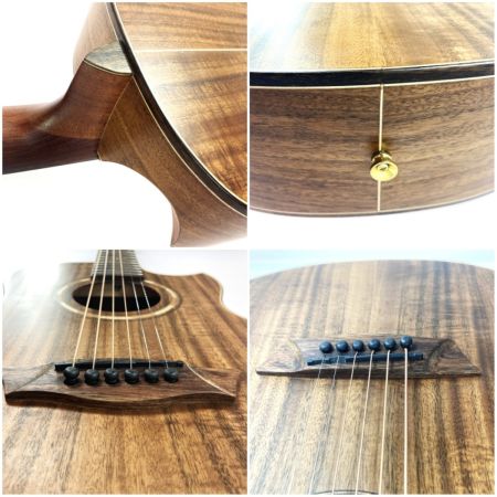 Washburn ワッシュバーン アコースティックギター WCGM55K-D ソフトケース付 ジャンク品