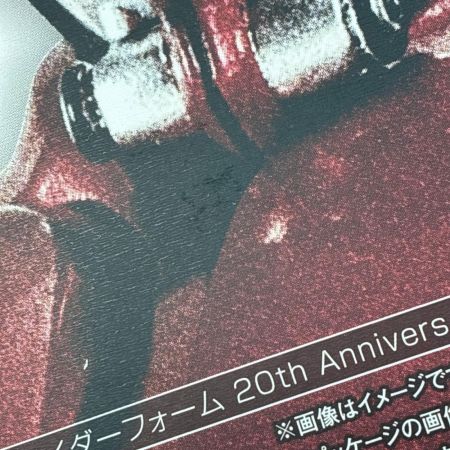 BANDAI S.H.Figuarts(真骨彫製法) 仮面ライダーカブト ライダーフォーム 20th Anniversary Ver. フィギュア
