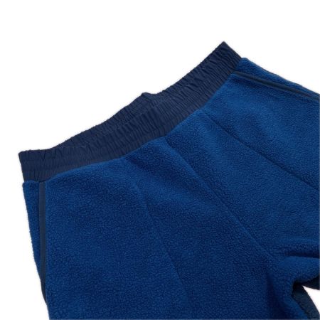 THE NORTH FACE × Aimé Leon Dore デナリフリースパンツ SIZE L メンズ コラボ NB52607AD ブルー