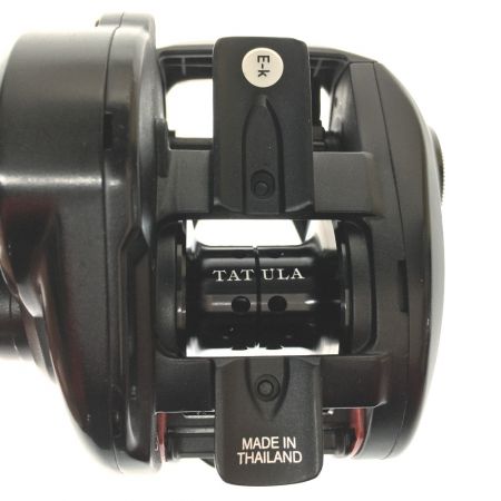  DAIWA ダイワ ベイトリール タトゥーラ TATULA TW 100SH 箱付