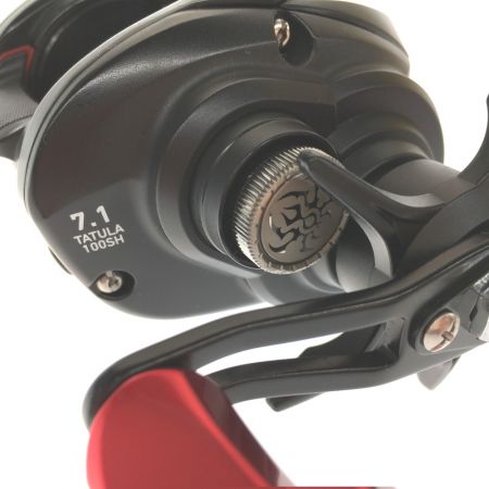  DAIWA ダイワ ベイトリール タトゥーラ TATULA TW 100SH 箱付