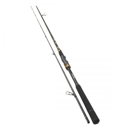  DAIWA ダイワ シーバスロッド morethan BRANZINO EX AGS 1010ML/M