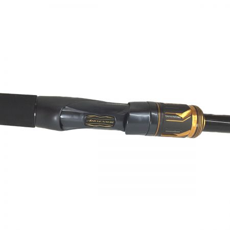  DAIWA ダイワ シーバスロッド morethan BRANZINO EX AGS 1010ML/M