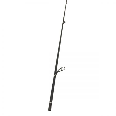  DAIWA ダイワ シーバスロッド morethan BRANZINO EX AGS 1010ML/M