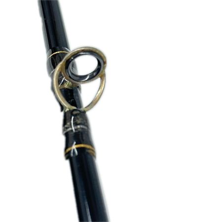 fenwick IRON WICK IH66CMH  ルアーロッド