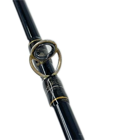 fenwick IRON WICK IH66CMH  ルアーロッド