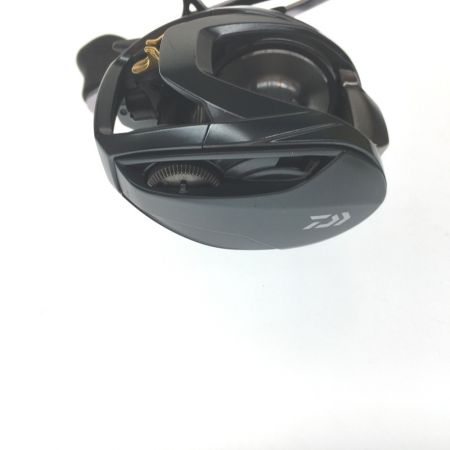  DAIWA ダイワ ベイトリール スティーズ A TW 00613376 右ハンドル 外箱付属