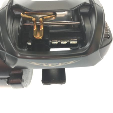  DAIWA ダイワ ベイトリール スティーズ A TW 00613376 右ハンドル 外箱付属