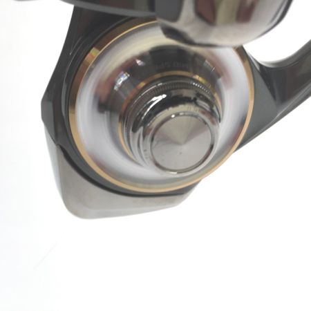  DAIWA ダイワ スピニングリール 20ルビアス 2276412 ライン付属