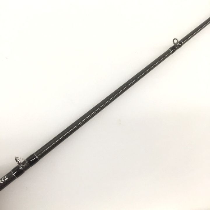 ダイワ(DAIWA) 21 スティーズ C74MH+ ベイトキャスティング