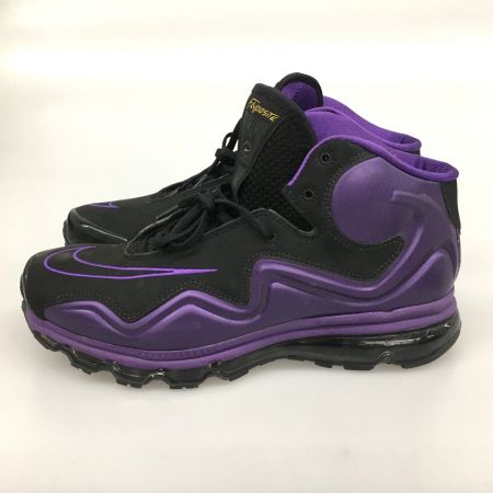  NIKE ナイキ AIR MAX FLYPOSITE エアマックスフライポジット 29cm 536850-010