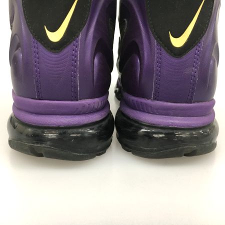  NIKE ナイキ AIR MAX FLYPOSITE エアマックスフライポジット 29cm 536850-010