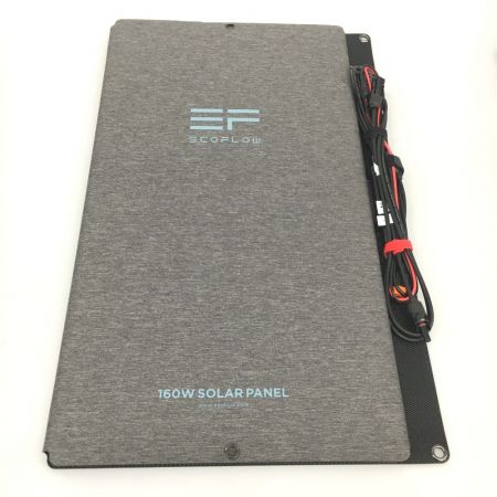  EcoFlow ソーラーパネル 片面 160W 160W ケース付