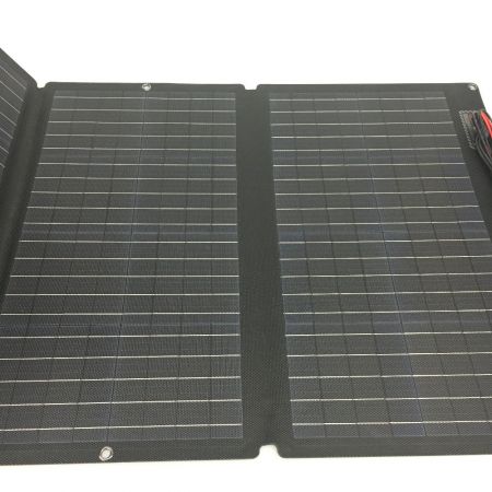  EcoFlow ソーラーパネル 片面 160W 160W ケース付