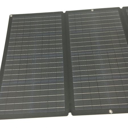  EcoFlow ソーラーパネル 片面 160W 160W ケース付