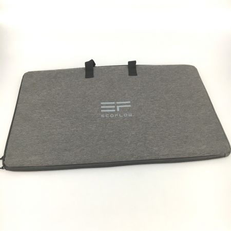  EcoFlow ソーラーパネル 片面 160W 160W ケース付