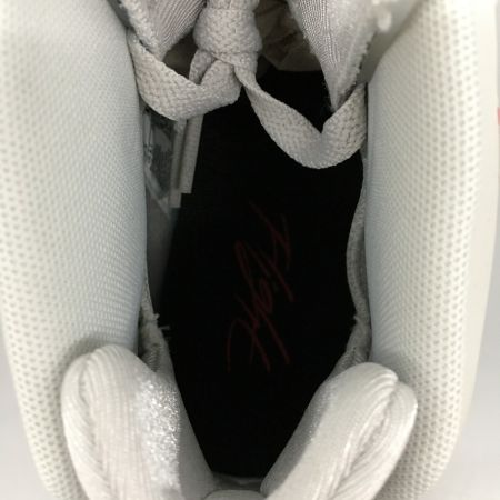  NIKE ナイキ AIR JORDAN（エアジョーダン）　スニーカー  SIZE 27.5cm DZ4475-026