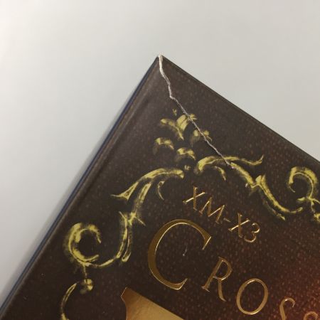  魂ウェブ商店 METAL BUILD 機動戦士クロスボーン・ガンダム クロスボーン・ガンダムX3