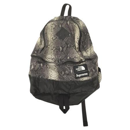  THE NORTH FACE ザノースフェイス Supreme リュック スネークスキン ライトウェイトデイパック NF0A3KVJ グレー×ブラック