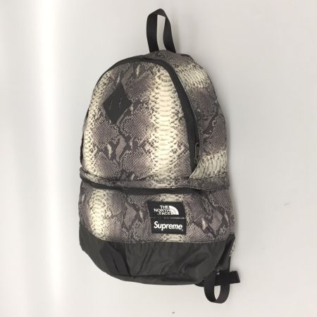  THE NORTH FACE ザノースフェイス Supreme リュック スネークスキン ライトウェイトデイパック NF0A3KVJ グレー×ブラック