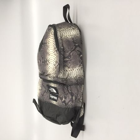  THE NORTH FACE ザノースフェイス Supreme リュック スネークスキン ライトウェイトデイパック NF0A3KVJ グレー×ブラック