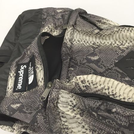  THE NORTH FACE ザノースフェイス Supreme リュック スネークスキン ライトウェイトデイパック NF0A3KVJ グレー×ブラック