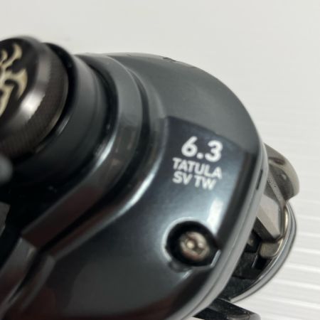 DAIWA ダイワ ベイトリール 20タトゥーラ SV TW 103HL 00630088