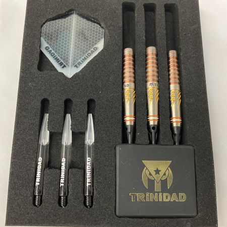  TRINIDAD ダーツ TRiNiDAD PRO  Roman Type5 宮脇実由