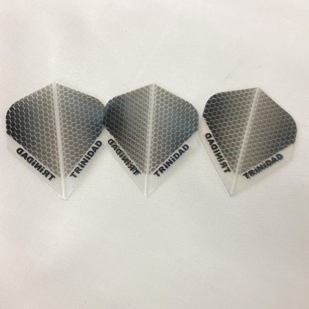  TRINIDAD ダーツ TRiNiDAD PRO  Roman Type5 宮脇実由