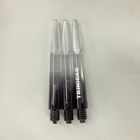  TRINIDAD ダーツ TRiNiDAD PRO  Roman Type5 宮脇実由