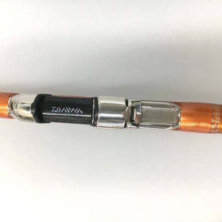  DAIWA ダイワ ロッド CASTIZM キャスティズム 18-345・R 竿袋付 05400061