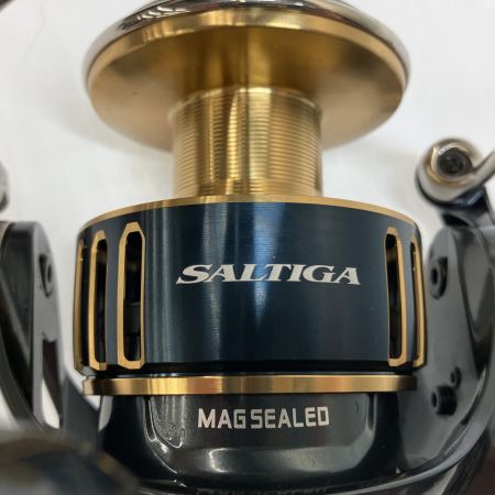 DAIWA ダイワ スピニングリール 25ソルティガ  8000-H 8000-H